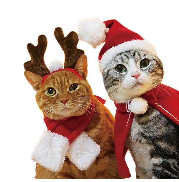 Christmas pet hat for small pets in festive holiday design