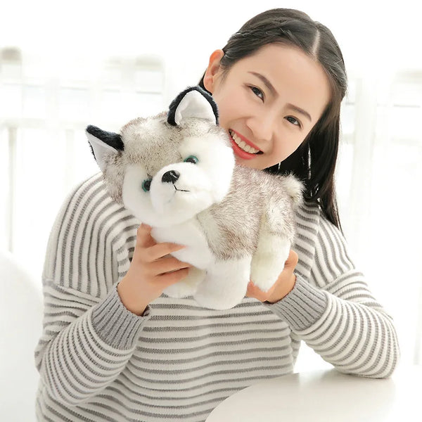 Cute Husky Dog Plush Toy for cuddling and gifting