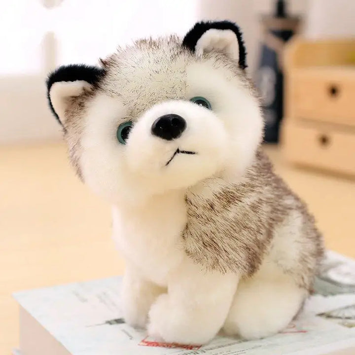 Cute Husky Dog Plush Toy for cuddling and gifting