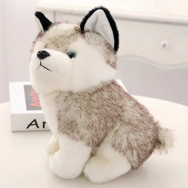 Cute Husky Dog Plush Toy for cuddling and gifting