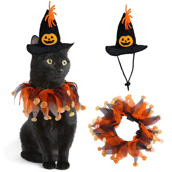 Cute pumpkin cat costume with hat and bandana for pets