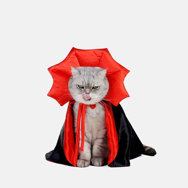 Dracula Cape for cats with a red collar for Halloween