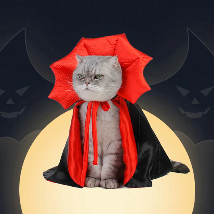 Dracula Cape for cats with a red collar for Halloween