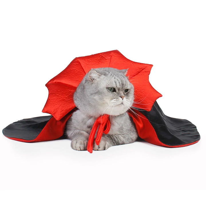 Dracula Cape for cats with a red collar for Halloween