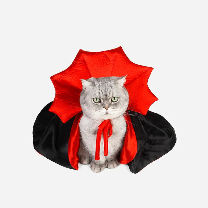 Dracula Cape for cats with a red collar for Halloween