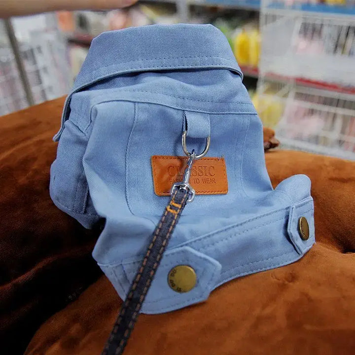 Denim dog coats in vibrant yellow and green for stylish pets