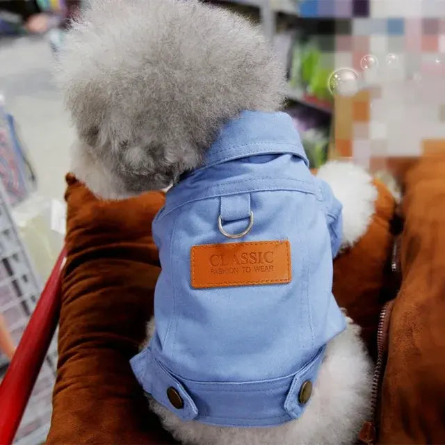 Denim dog coats in vibrant yellow and green for stylish pets