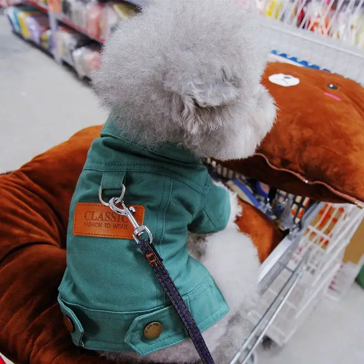 Denim dog coats in vibrant yellow and green for stylish pets