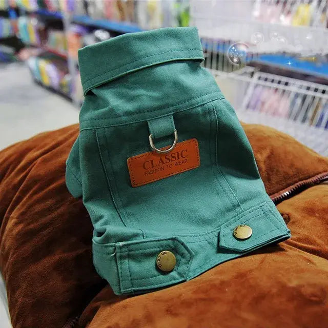 Denim dog coats in vibrant yellow and green for stylish pets