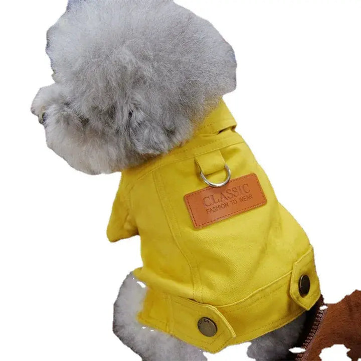 Denim dog coats in vibrant yellow and green for stylish pets