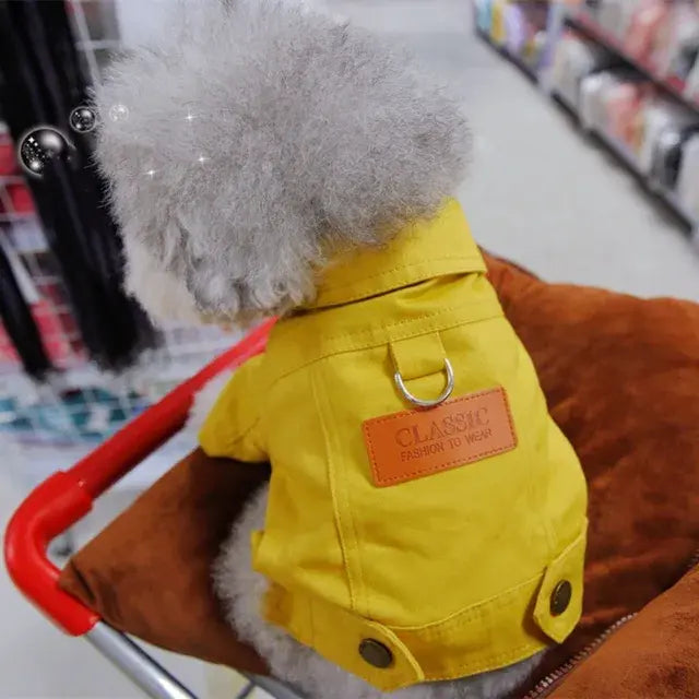 Denim dog coats in vibrant yellow and green for stylish pets
